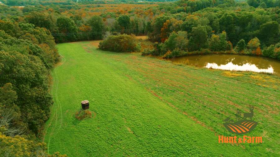 Still 2025-11-29 081237_1.60.1.jpg